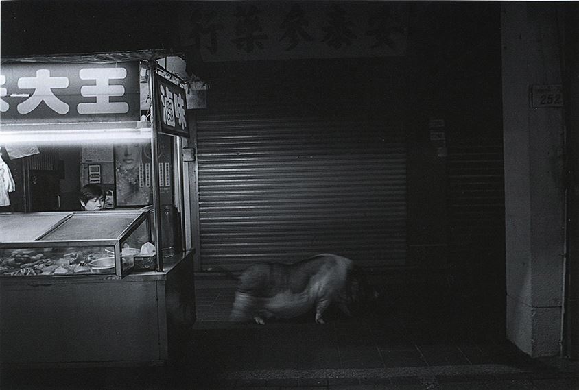 The Stomach of Taipei -1
